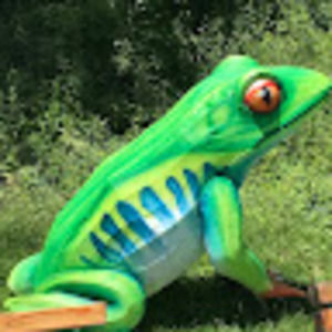 Meet your Posher, Hayden